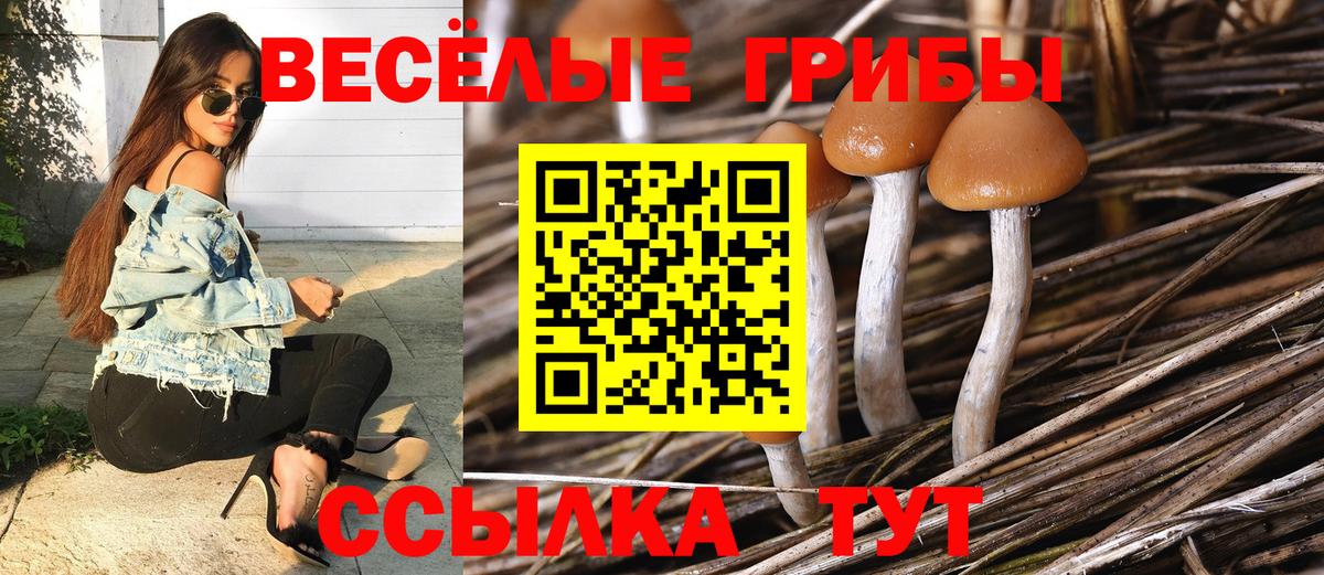 Галлюциногенные грибы Magic Shrooms  Вход с VPN  Павлово 